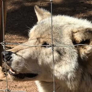Meet your Posher, Ben